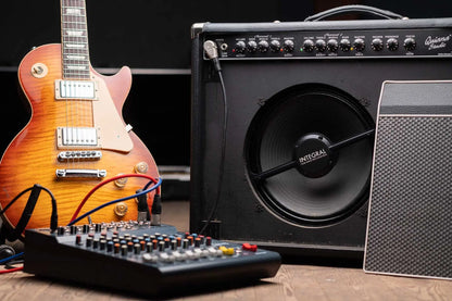 Integral Mics IM12 12-Inch Close Cab Miking System